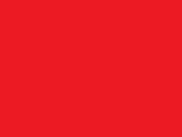 Vacature: (Technisch) Business Consultant